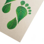 Eco