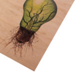 Wood Cerezo